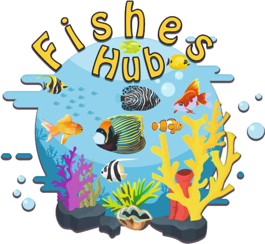 Fishes Hub Store